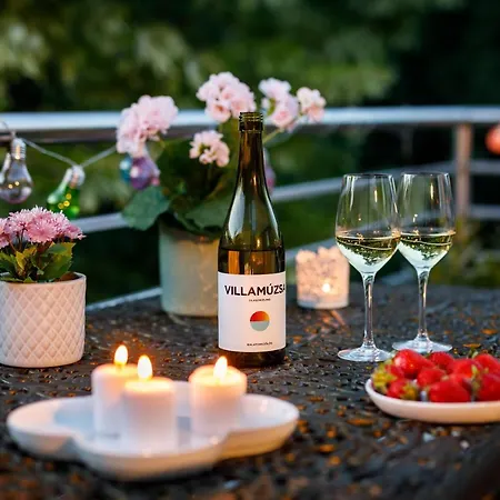 Villa Muzsa Apartment House Casa de hóspedes 4*